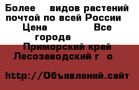 Более200 видов растений почтой по всей России › Цена ­ 100-500 - Все города  »    . Приморский край,Лесозаводский г. о. 